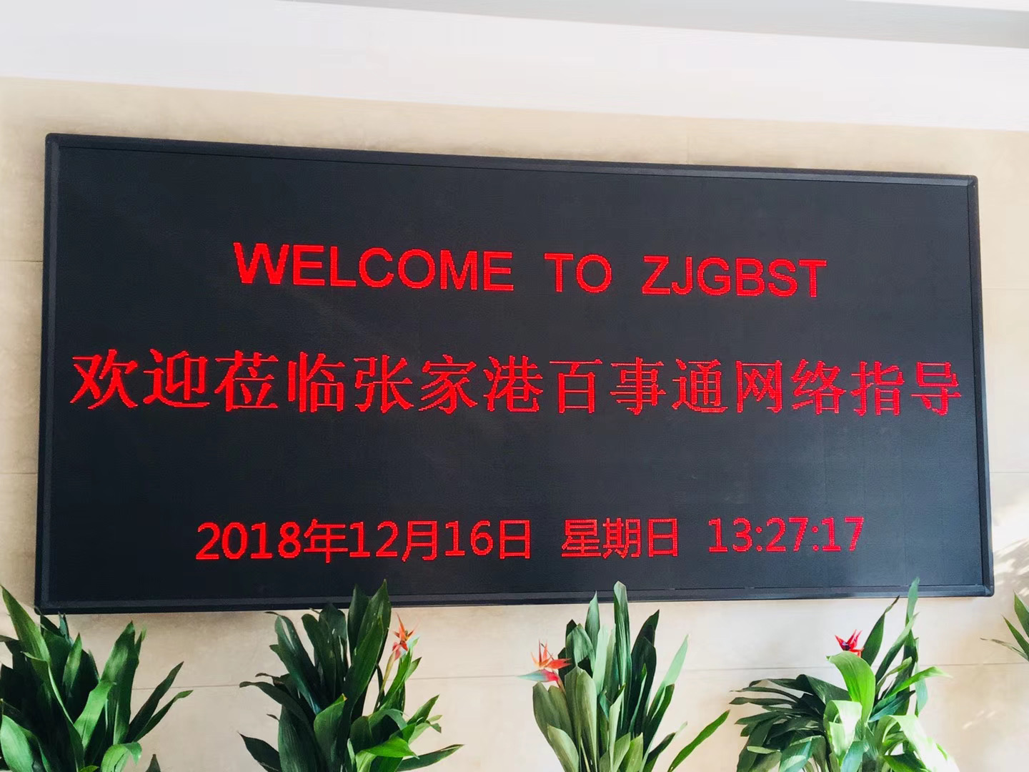企业风采（张家港百事通网络）